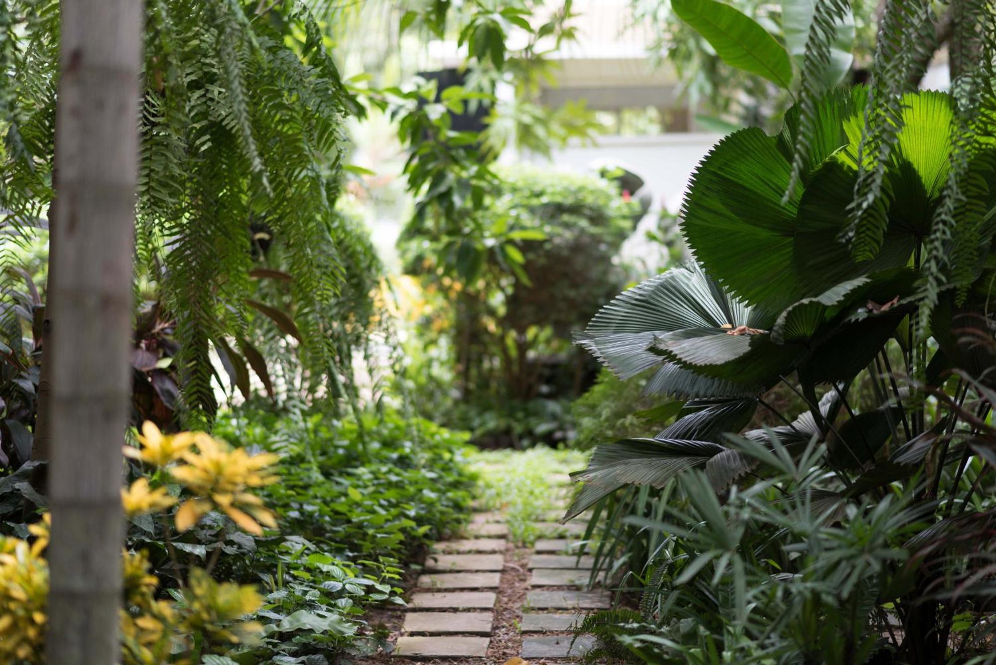 Sokkhak Boutique & Hotel Siem Reap
