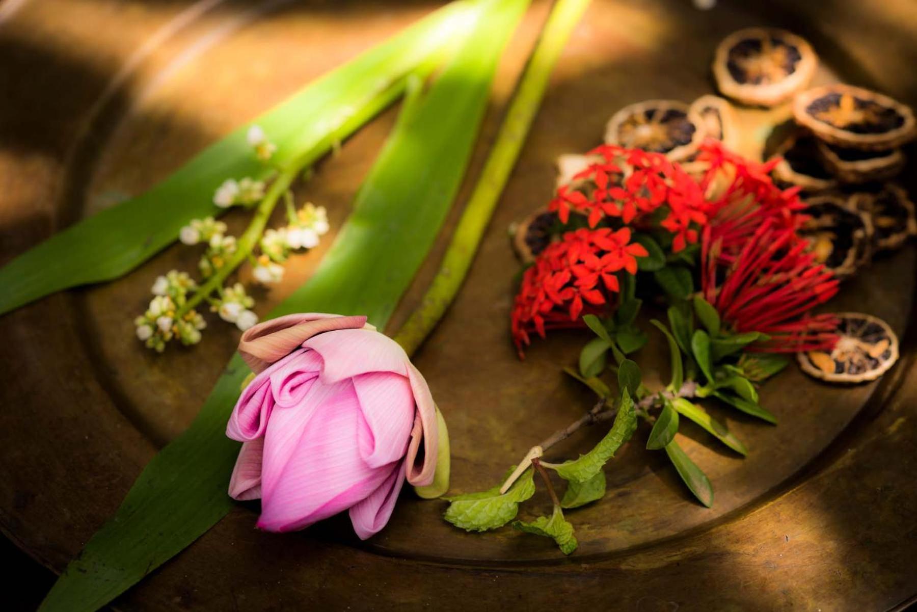 Hotel Sokkhak Boutique & Siem Reap